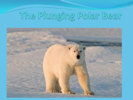 The Plunging Polar Bear