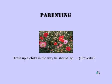 Parenting Train up a child in the way he should go ….(Proverbs)