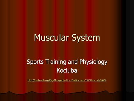 Muscular System Sports Training and Physiology Kociuba