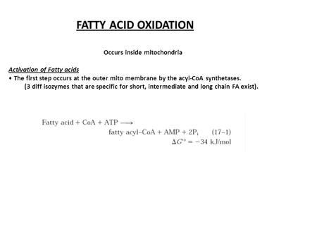 FATTY ACID OXIDATION Occurs inside mitochondria