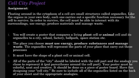 Cell City Project Assignment: