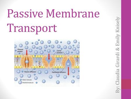 Passive Membrane Transport By: Claudia Girardi & Emily Knisely.