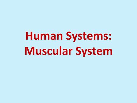 Human Systems: Muscular System. Muscle Muscle cells have contractile proteins Contract and relax Help in movement Heart muscles- helps in the pumping.