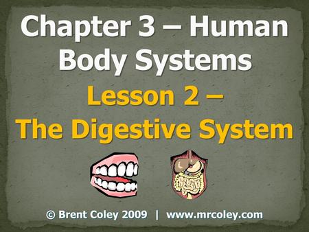 Lesson 2 – The Digestive System © Brent Coley 2009 | www.mrcoley.com.