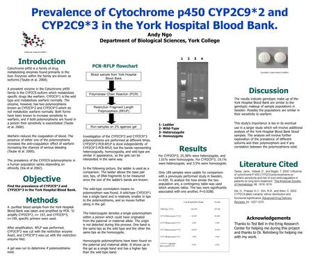 Prevalence of Cytochrome p450 CYP2C9*2 and CYP2C9*3 in the York Hospital Blood Bank. Andy Ngo Department of Biological Sciences, York College Introduction.