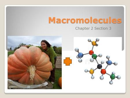 Macromolecules Chapter 2 Section 3. What are the 6 elements most common to living things? 1. Carbon 2. Hydrogen 3. Oxygen 4. Nitrogen 5. Phosphorus 6.
