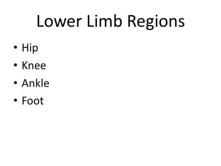 Lower Limb Regions Hip Knee Ankle Foot.