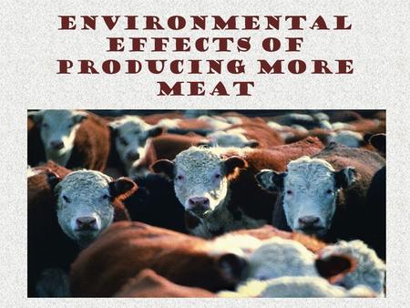 Environmental Effects of Producing More Meat. Background Facts Meat, milk & cheese – High quality protein 1950 – 2005 – Meat production increased more.