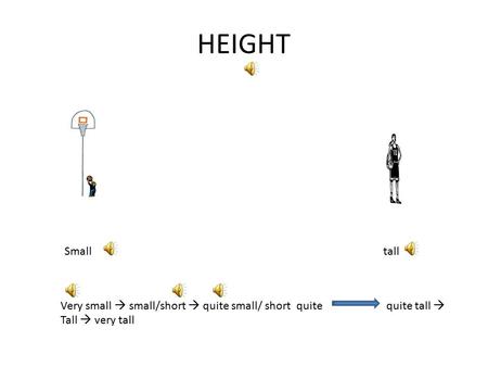 HEIGHT Smalltall Very small  small/short  quite small/ short quite quite tall  Tall  very tall.