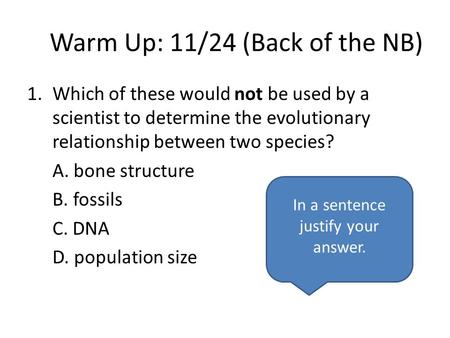 Warm Up: 11/24 (Back of the NB) 1.Which of these would not be used by a scientist to determine the evolutionary relationship between two species? A. bone.