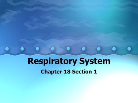 Respiratory System Chapter 18 Section 1. You Will Learn To describe the structures and functions of the respiratory system. To analyze the process of.