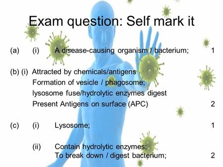 Exam question: Self mark it (a)(i)A disease-causing organism / bacterium;1 (b)(i) Attracted by chemicals/antigens Formation of vesicle / phagosome; lysosome.