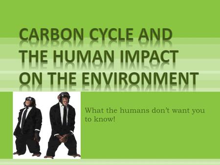 CARBON CYCLE AND THE Human Impact on the Environment
