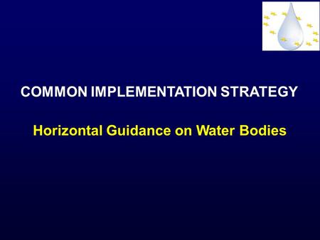 COMMON IMPLEMENTATION STRATEGY Horizontal Guidance on Water Bodies.