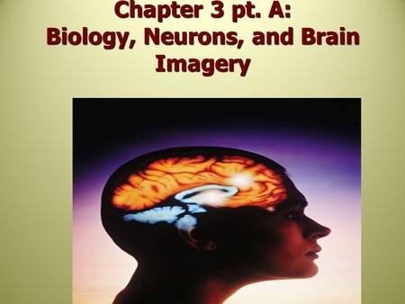 Chapter 3 pt. A: Biology, Neurons, and Brain Imagery.