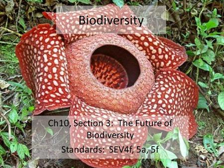 Biodiversity Ch10, Section 3: The Future of Biodiversity Standards: SEV4f, 5a, 5f.
