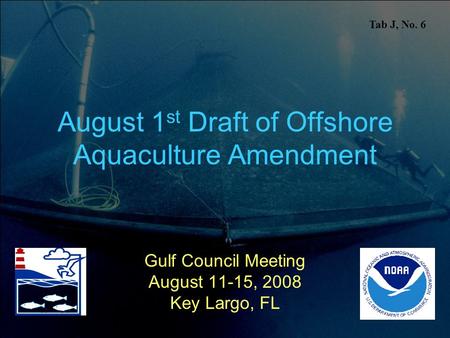 August 1 st Draft of Offshore Aquaculture Amendment Gulf Council Meeting August 11-15, 2008 Key Largo, FL Tab J, No. 6.