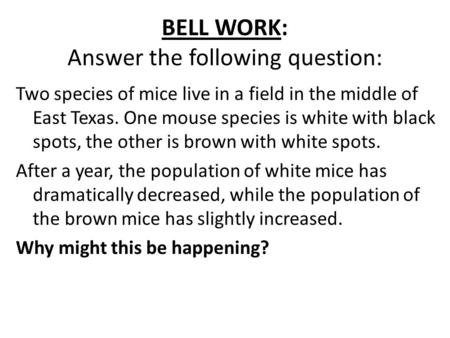 BELL WORK: Answer the following question: Two species of mice live in a field in the middle of East Texas. One mouse species is white with black spots,