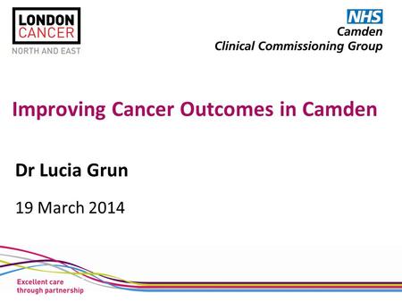 Improving Cancer Outcomes in Camden Dr Lucia Grun 19 March 2014.