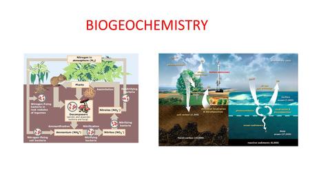 BIOGEOCHEMISTRY. What is Biogeochemistry? The study of the biological, geological and chemical factors that influence the movement of chemical elements.