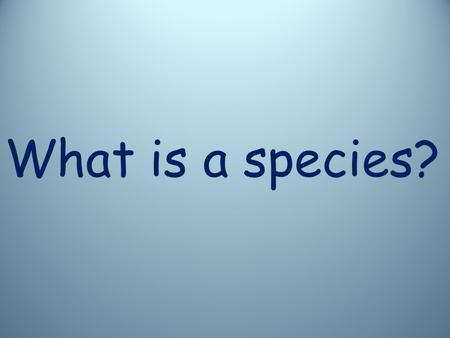 What is a species?. Can you define biodiversity?