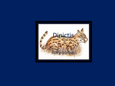 Dinictis Rory Lorenz. Appearance The Dinictis was a yellowish color. It had spots all over it’s body. Covering it’s body was a thin layer of fur.