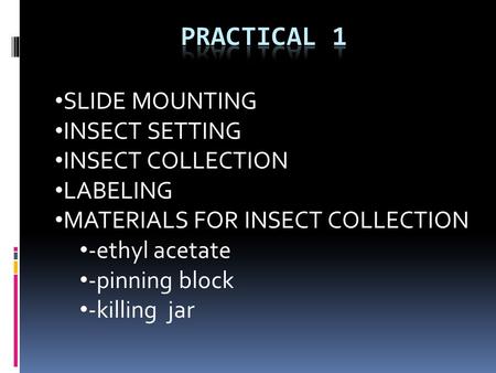 SLIDE MOUNTING INSECT SETTING INSECT COLLECTION LABELING MATERIALS FOR INSECT COLLECTION -ethyl acetate -pinning block -killing jar.