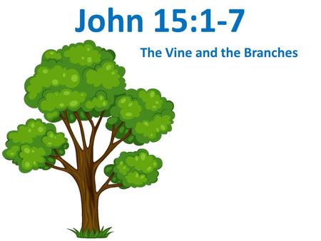 John 15:1-7 The Vine and the Branches. 15 “I am the true vine, and my Father is the gardener. 2 He cuts off every branch in me that bears no fruit, while.