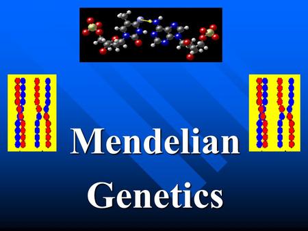 MendelianGenetics. (I) Foundations of Genetics (A) Heredity Traits (characteristics) are passed down from the parent to the offspring. Traits (characteristics)