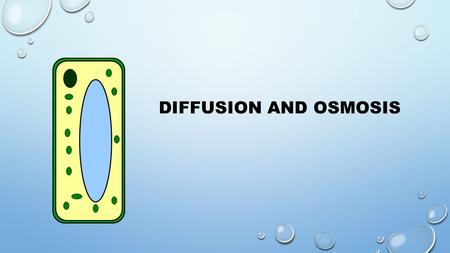 DIFFUSION AND OSMOSIS. DIFFUSION is the movement of liquid or a gas molecules from a high concentration to a low concentration until the substance is.