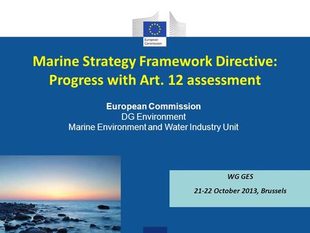 European Commission DG Environment Marine Environment and Water Industry Unit Marine Strategy Framework Directive: Progress with Art. 12 assessment WG.