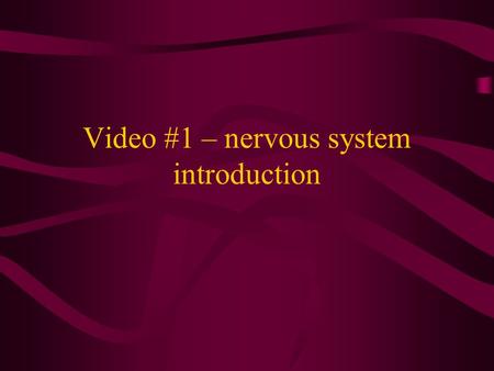 Video #1 – nervous system introduction. THE NERVOUS SYSTEM.