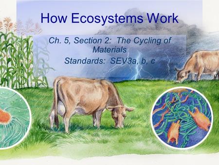 How Ecosystems Work Ch. 5, Section 2: The Cycling of Materials Standards: SEV3a, b, c.