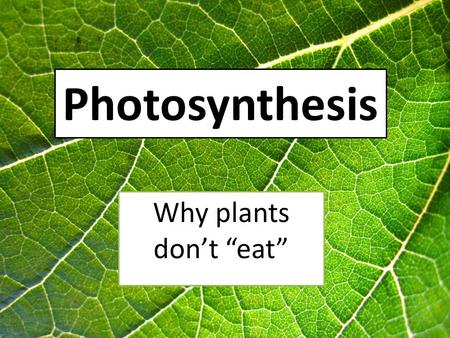 Photosynthesis Why plants don’t “eat”.