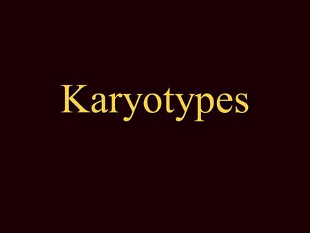 Karyotypes Karyotype = A display (picture) of all the chromosomes in the nucleus of a cell. A display (picture) of all the chromosomes in the nucleus.