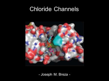 Chloride Channels - Joseph M. Breza -.