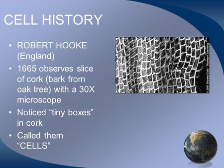 CELL HISTORY ROBERT HOOKE (England) 1665 observes slice of cork (bark from oak tree) with a 30X microscope Noticed “tiny boxes” in cork Called them “CELLS”