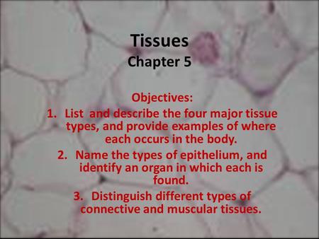 Tissues Chapter 5 Objectives: 1.List and describe the four major tissue types, and provide examples of where each occurs in the body. 2.Name the types.