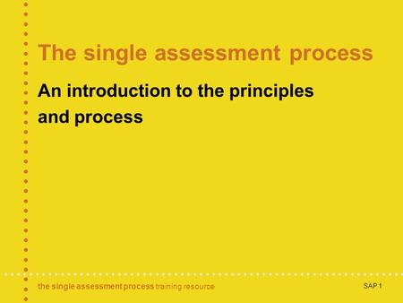 The single assessment process