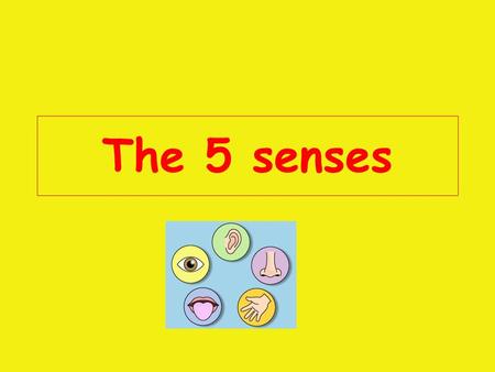 The 5 senses.