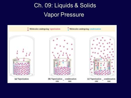 Ch. 09: Liquids & Solids Vapor Pressure. Vapor = the gaseous state of a substance that has escaped from the liquid phase e.g., ½-filled cup of coffee: