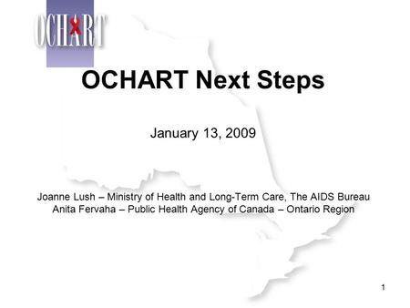 1 OCHART Next Steps January 13, 2009 Joanne Lush – Ministry of Health and Long-Term Care, The AIDS Bureau Anita Fervaha – Public Health Agency of Canada.