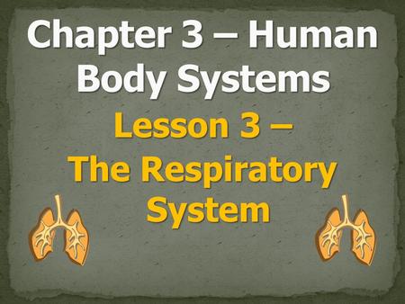 Lesson 3 – The Respiratory System. Breathing is the job of this system. Breathing is the job of this system. This system takes oxygen from the air and.
