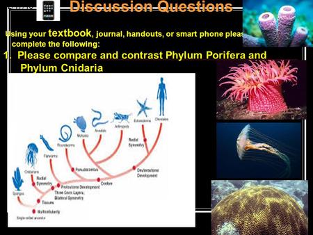 Discussion Questions 1. Please compare and contrast Phylum Porifera and Phylum Cnidaria Phylum Cnidaria 2/17/15 Using your textbook, journal, handouts,