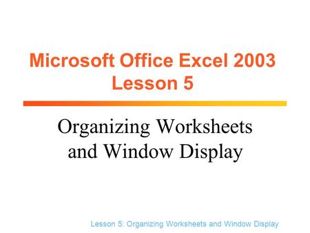Lesson 5: Organizing Worksheets and Window Display Microsoft Office Excel 2003 Lesson 5 Organizing Worksheets and Window Display.