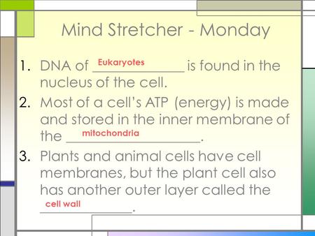 Mind Stretcher - Monday 1.DNA of _____________ is found in the nucleus of the cell. 2.Most of a cell’s ATP (energy) is made and stored in the inner membrane.