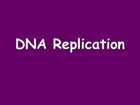 DNA Replication. Definition: The DNA within the nucleus is Replicated Before a cell can go through mitosis or meiosis the DNA MUST be replicated, or the.