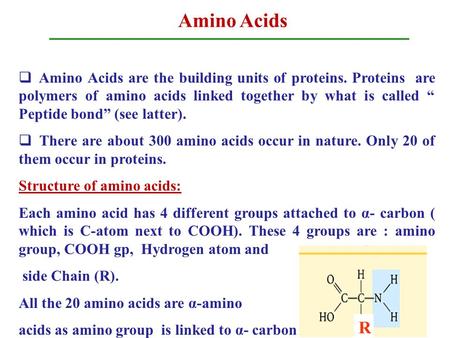 Amino Acids  Amino Acids are the building units of proteins. Proteins are polymers of amino acids linked together by what is called “ Peptide bond” (see.