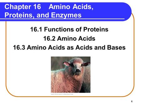 1 Chapter 16 Amino Acids, Proteins, and Enzymes 16.1 Functions of Proteins 16.2 Amino Acids 16.3 Amino Acids as Acids and Bases.