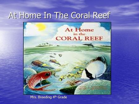 At Home In The Coral Reef Mrs. Breeding 4 th Grade.